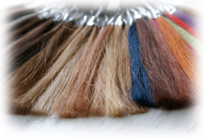 �J���[���{