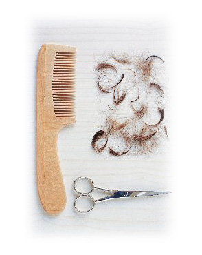 �J�b�g�C���[�W