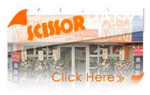 �V�U�[�n���Y